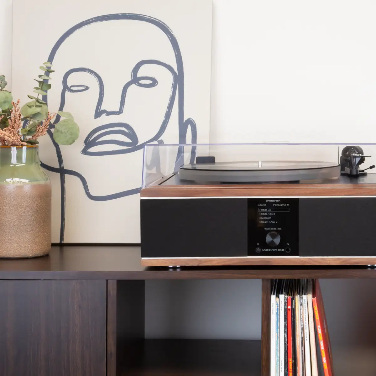Best High-End Record Player